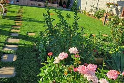 Duplex cu 3 camere cu Canalizare în Bucovăț (Remetea Mare) - 10