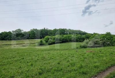 Teren de 15000 mp, în Gilău - 3