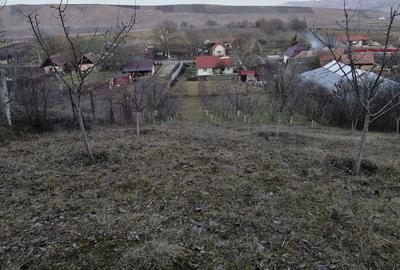 Casă cu 2 camere cu Teren 2984 Mp în Avrămești - 9