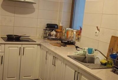 Piata Victoriei, apartament cu 3 camere de inchiriat, constructie 2016 - 4