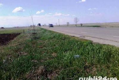 Teren de 2500 mp, în Ghimpați - 1