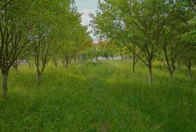 Casă cu 4 camere cu Teren 752 Mp în Racoș - 18