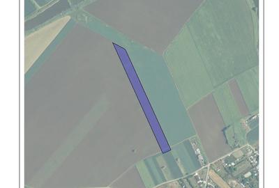 Teren în Dascălu - 4