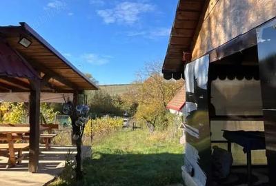 Casă cu 2 camere cu Teren 1100 Mp în Biharia - 13