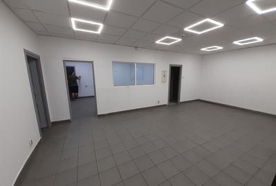 Spațiu industrial, de 550 mp, în Theodor Pallady - 4