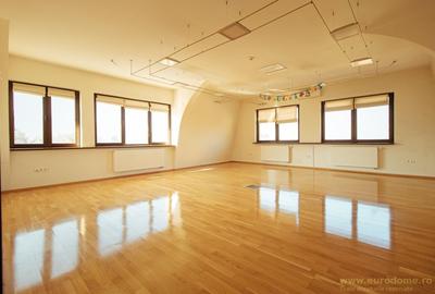 Inchiriere Spatiu exclusivist, vedere panoramică, luminos - 9