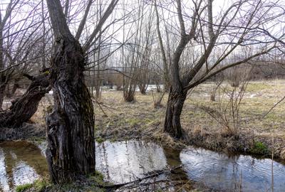 Teren Construcții intravilan de 5967 mp, în Bran - 4