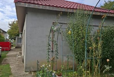 Samurcasi, casa si teren de 1200 mp - 3