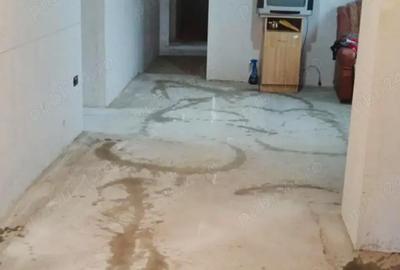 Casă cu 4 camere în Boțârlău - 9