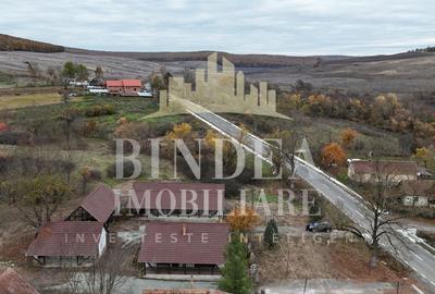 Oportunitate investitie: două reședințe de vacanță/ cabane 3940mp teren - 13