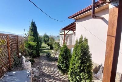 Casa de locuit posibilitate spatiu comercial - 4