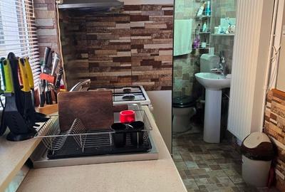 Matei Voievod , apartament in vila, parter si subsol, - 10