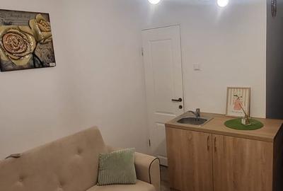 Garsonieră de închiriat – 15 mp utili – Prima închiriere – Zona Dâmbovița - 5