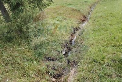 Teren de 14318 mp, în Paltin - 10