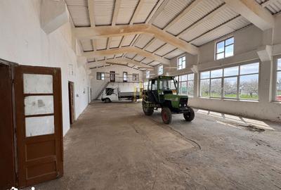 Spațiu comercial, de 600 mp, în Dumbrăveni - 11