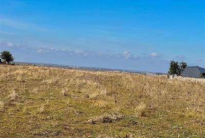 Teren  industrial de vanzare pentru hale in Braila / aproape de Drumul Express / Teren  industrial de vanzare pentru hale in Braila / aproape de Drumul Express / - 4