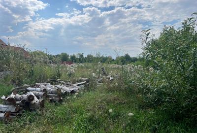 Teren intravilan, Prejmer, 781 mp, intre case Teren intravilan, Prejmer, 781 mp, intre case - 3