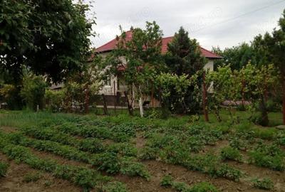 Casă cu 3 camere cu Teren 2850 Mp în Băiculești - 3