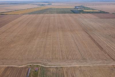 FRUMUSANI - PASAREA, TEREN 14420 MP, FRONT 40 M! - 7