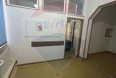 Spațiu comercial, de 77.620002746582 mp, în Ultracentral - 4