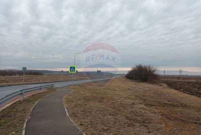 Teren Construcții intravilan de 1350 mp, în Brănești - 4