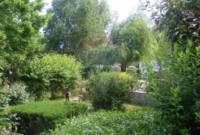 Vanzare vila cu D+P+Et +M, intravilan 1670 mp, Saftica - 21