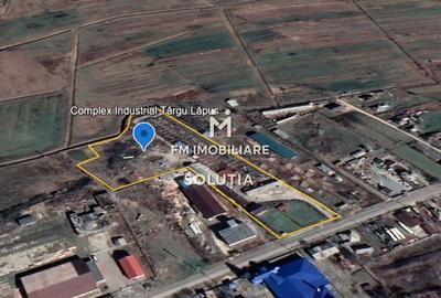 Spațiu industrial, de 3,500 mp, în Exterior Vest - 3