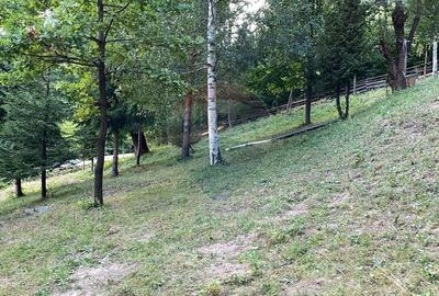 Teren extravilan de vanzare 1,019mp Lepsa Vrancea - 4