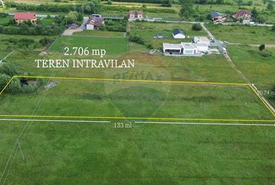 NOU - TEREN DE VANZARE - Cicarlau - 2