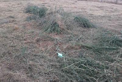 Teren de 500 mp, în Agigea - 4