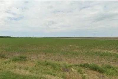 Teren de 1200 mp, în Pogoanele - 5