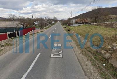Teren Construcții intravilan de 4007 mp, în Boșoteni - 4