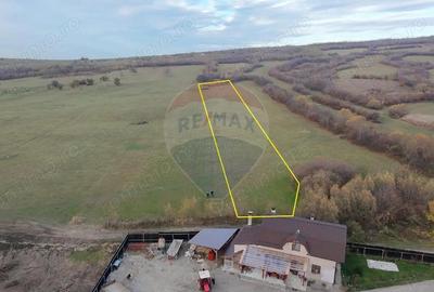 Teren de 5800 mp, în Purcăreni - 2