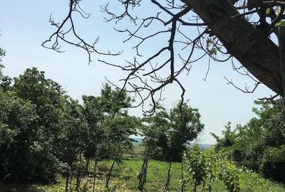 Casă cu 4 camere cu Teren 1600 Mp în Central - 5