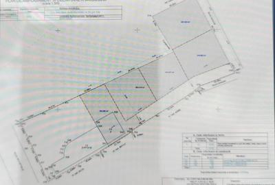 Teren Intravilan Parcelabil, Malu Mare, oportunitate de inve - 2