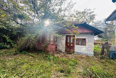 Casă cu 3 camere cu Teren 2872 Mp în Slătioara - 10