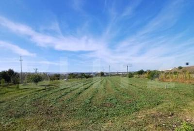 Teren extravilan, cu CF, 2963 mp, in Mihai Viteazu - 3