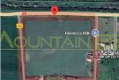 Pecica, jud Arad, 6ha teren de vanzare Pecica, jud Arad, 6ha teren de vanzare - 4