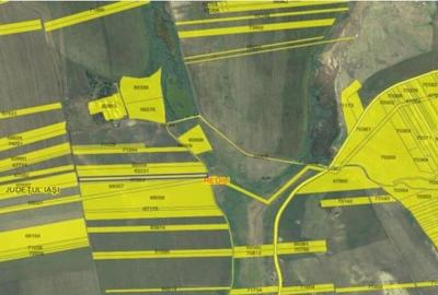 Teren extravilan cota parte 1/3, Rediu, ID: R2642185 - 10