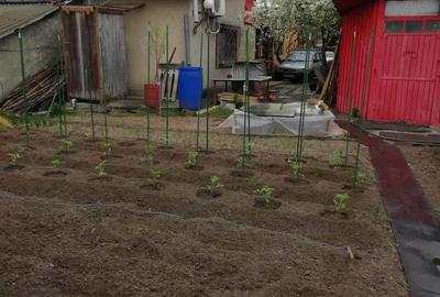 Casă cu 4 camere în Izvoru Dulce (Merei) - 9