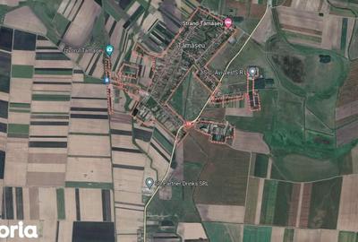 Teren de 5000 mp, în Tămășeu - 1