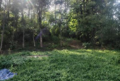 Casă cu 3 camere cu Teren 4000 Mp în Urseiu - 2