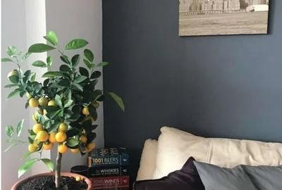 Apartament 3 Camere | 110 mp | Metrou | Titulescu - 6