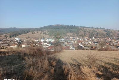 Teren de 3000 mp, în Curtești - 1