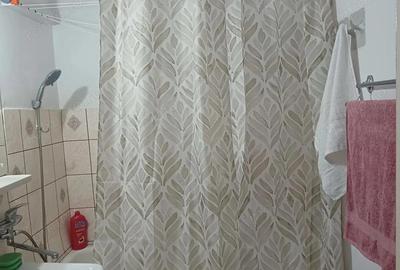 Piata Unirii - Apartament cu doua camere, 300 euro - 2