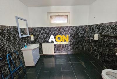 Casa 10 camere, 878 mp teren, toate utilitatile, Barabant - 9