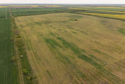 Teren agricol extravilan de 44700 mp, în Exterior Vest - 13