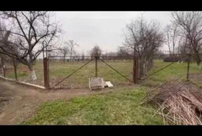 Casă cu 5 camere cu Teren 15000 Mp în Central - 5