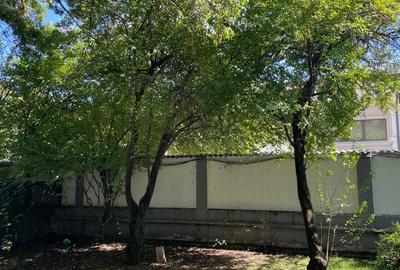 Iancu Nicolae vila 5 dormitoare gradina matura - 12