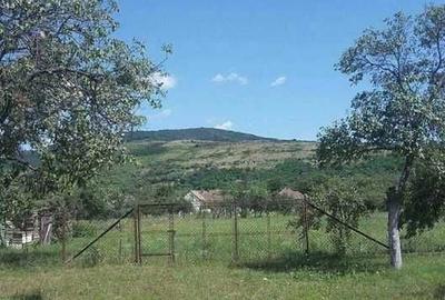 Casă cu 3 camere în Cuvin - 5